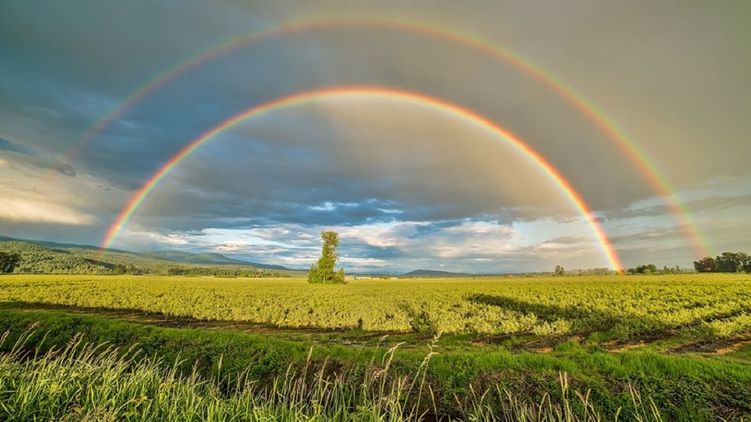 Гороскоп на август 2020 года. Фото: Sasha Mislik