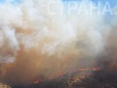 В Турции продолжают гореть леса. Мощный пожар настиг курортный Бодрум. Фото и видео
