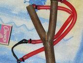 За стрельбу из рогатки по окнам Зеленского "робин гуду" с Теремков светит до 7 лет тюрьмы