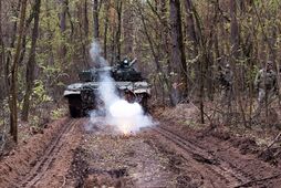 Чи буде укладено мир в Україні за планом Трампа?