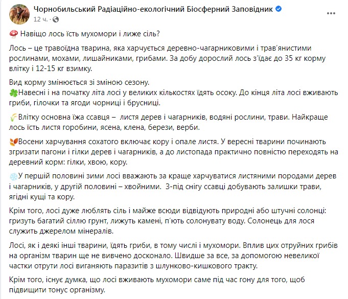 Скриншот из Фейсбука Чернобыльского заповедника 