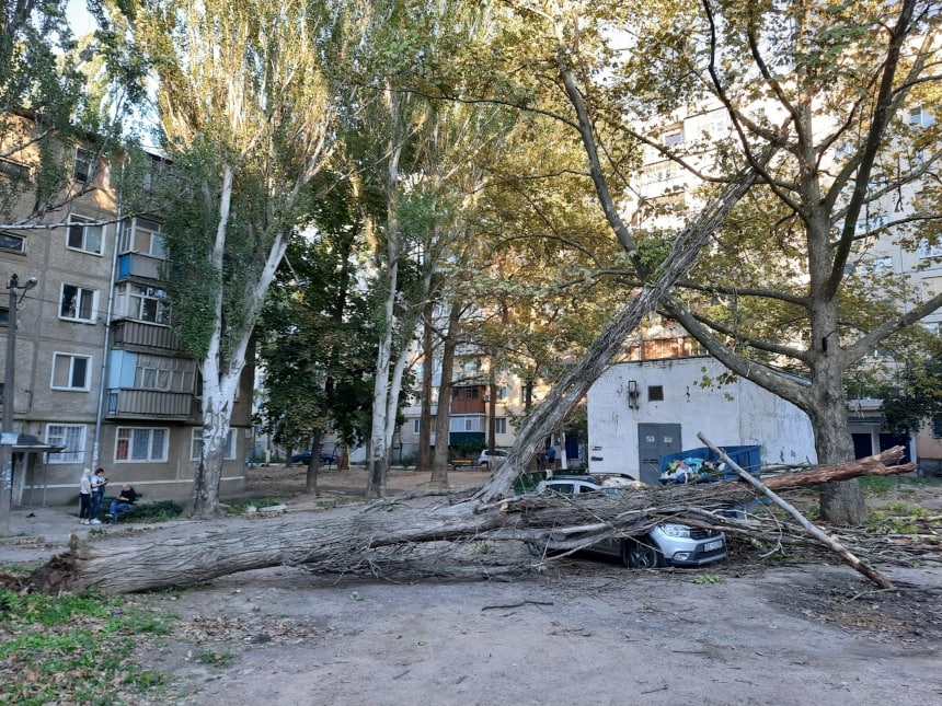 В Николаеве на авто упало дерево