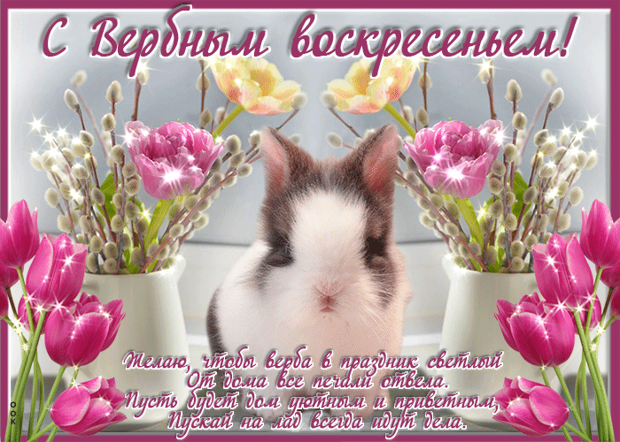 с Вербным воскресеньем, гиф