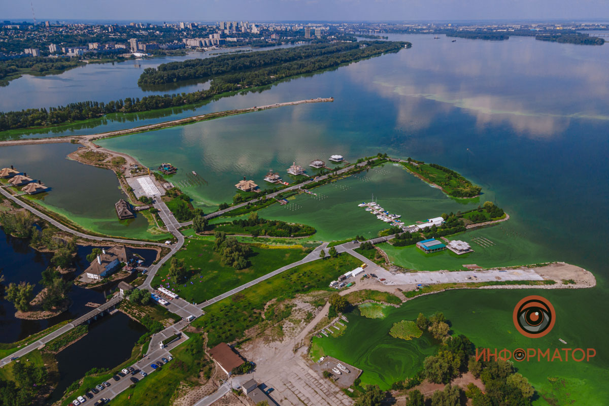 парковая зона с цветущей водой