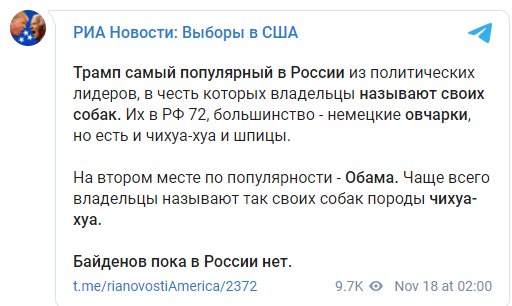 В России проживает 72 собаки по кличке Трамп. Байденом своих питомцев пока никто не назвал. Скриншот: РИА Новости в Телеграм