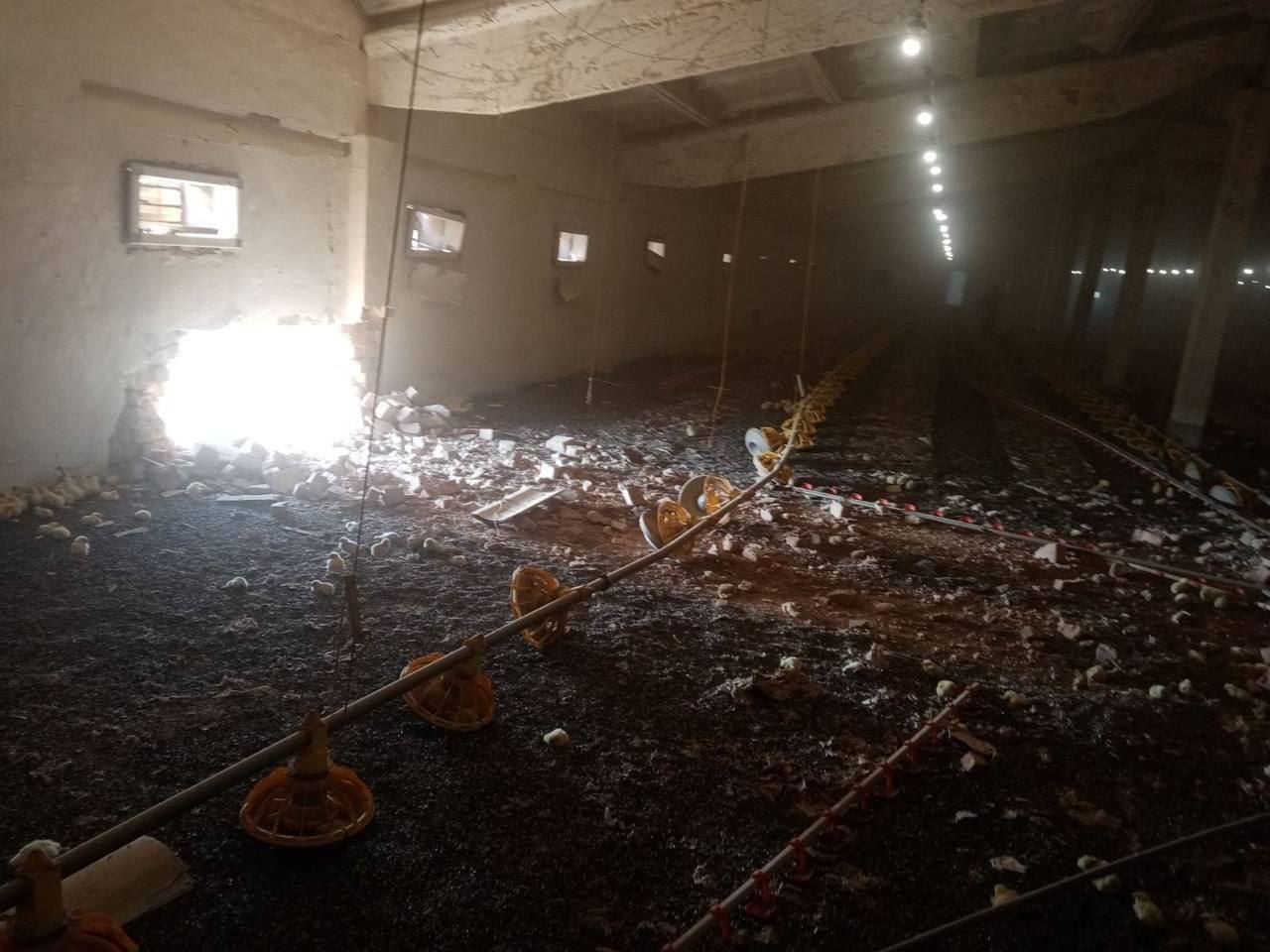 Последствия обстрела птицефабрики в Никопольском районе