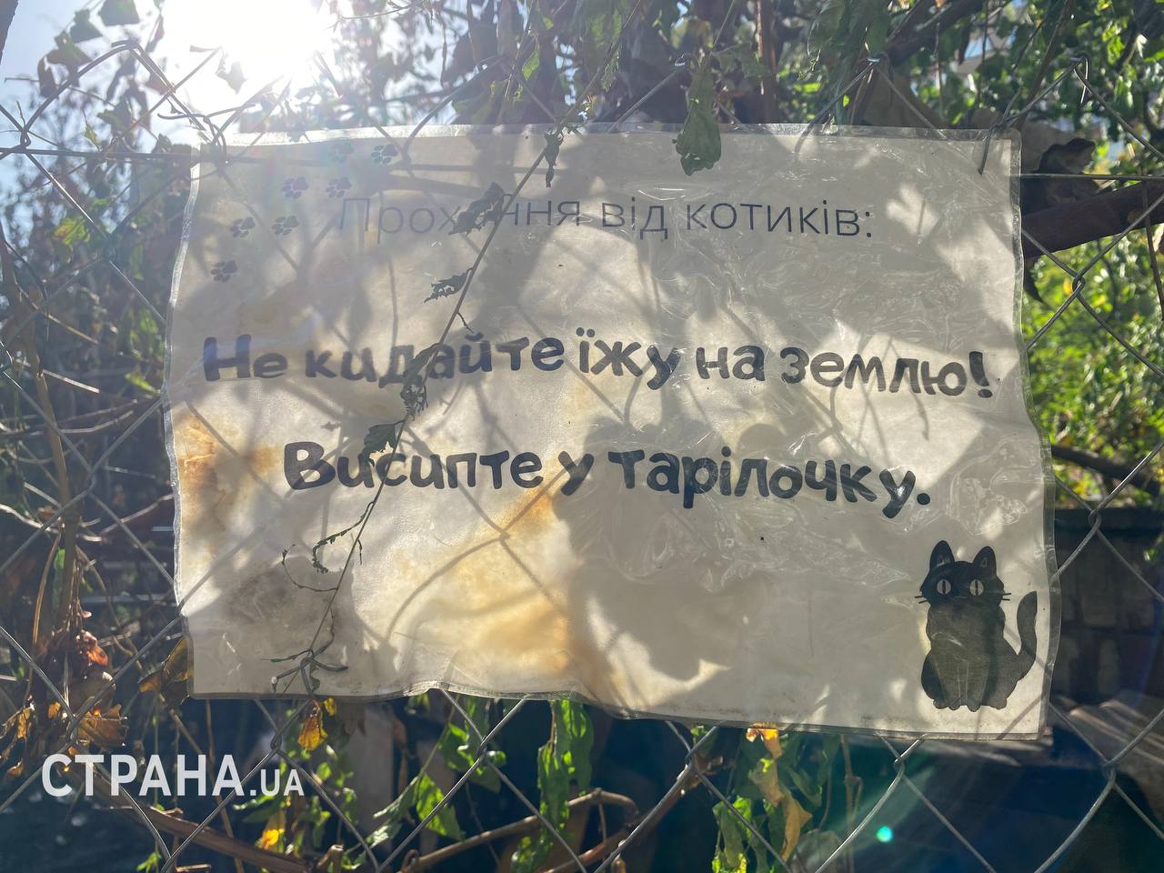 В Киеве подожгли кошачий приют